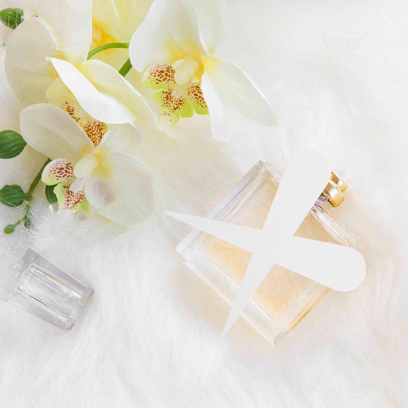 100 Tiras de Prueba de Perfume - Perfume Fragrance Tester reseña y precio